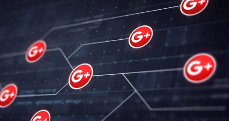 Elevate Your Search Rankings