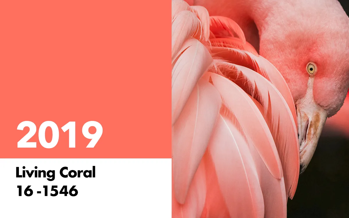 2019 Panton Color of the Year 2019 Panton Color of the Year