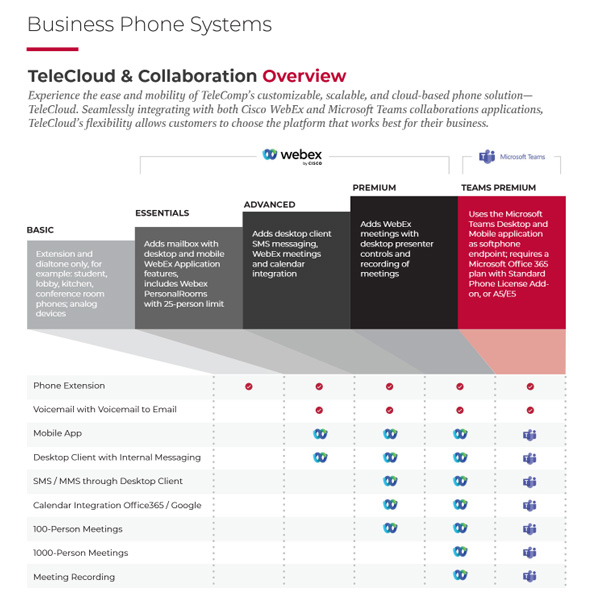 Case Study - TeleComp's Printed Services Catalog